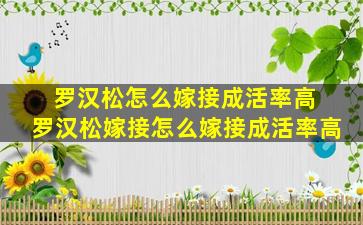 罗汉松怎么嫁接成活率高 罗汉松嫁接怎么嫁接成活率高